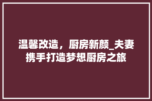 温馨改造，厨房新颜_夫妻携手打造梦想厨房之旅