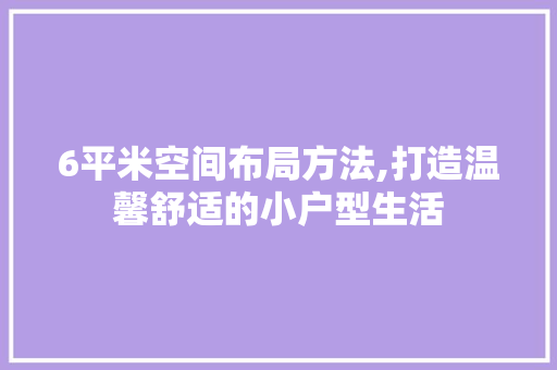 6平米空间布局方法,打造温馨舒适的小户型生活