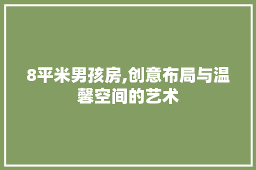 8平米男孩房,创意布局与温馨空间的艺术