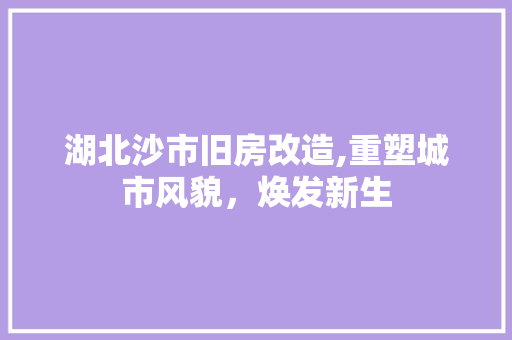 湖北沙市旧房改造,重塑城市风貌，焕发新生