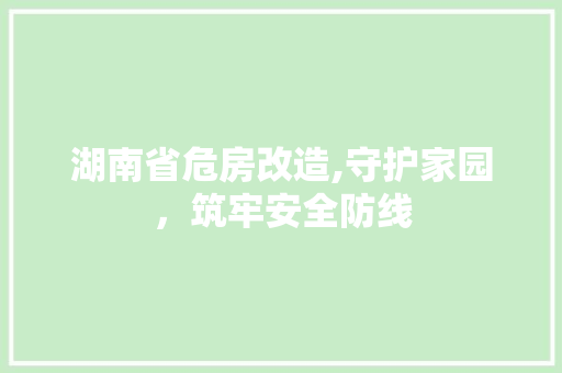 湖南省危房改造,守护家园，筑牢安全防线
