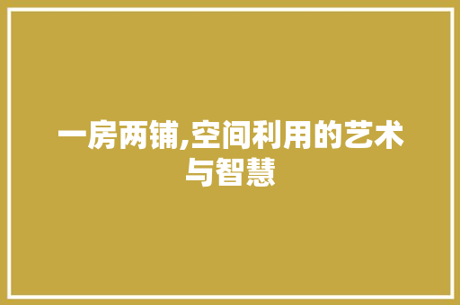 一房两铺,空间利用的艺术与智慧