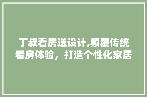 丁叔看房送设计,颠覆传统看房体验，打造个性化家居生活