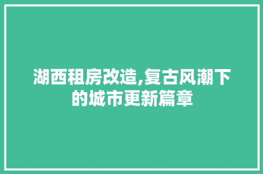 湖西租房改造,复古风潮下的城市更新篇章