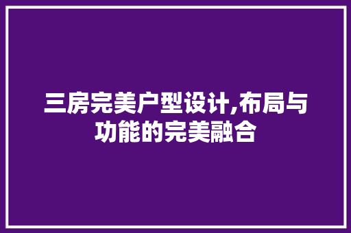 三房完美户型设计,布局与功能的完美融合