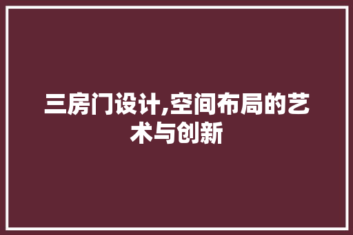 三房门设计,空间布局的艺术与创新