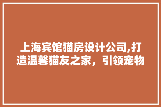 上海宾馆猫房设计公司,打造温馨猫友之家，引领宠物友好酒店新潮流