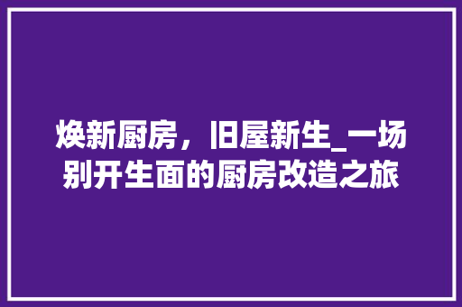 焕新厨房，旧屋新生_一场别开生面的厨房改造之旅