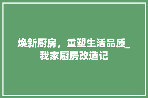 焕新厨房，重塑生活品质_我家厨房改造记