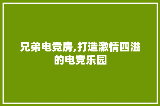 兄弟电竞房,打造激情四溢的电竞乐园