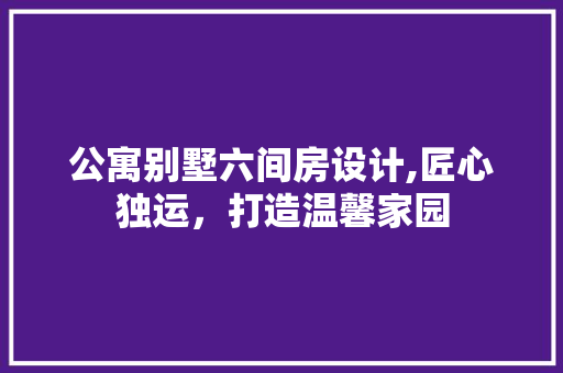 公寓别墅六间房设计,匠心独运，打造温馨家园