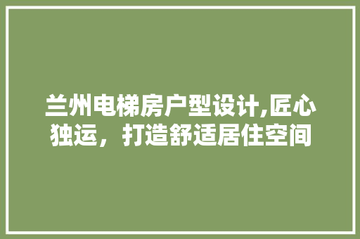 兰州电梯房户型设计,匠心独运，打造舒适居住空间