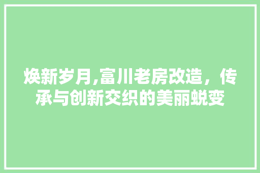 焕新岁月,富川老房改造，传承与创新交织的美丽蜕变