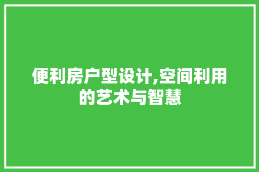 便利房户型设计,空间利用的艺术与智慧