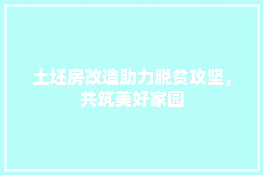 土坯房改造助力脱贫攻坚，共筑美好家园