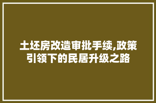 土坯房改造审批手续,政策引领下的民居升级之路