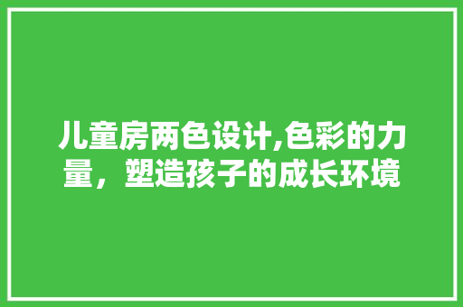 儿童房两色设计,色彩的力量，塑造孩子的成长环境