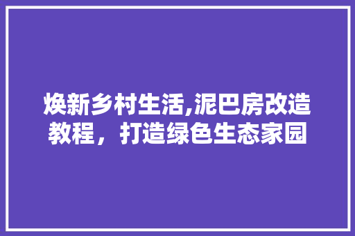 焕新乡村生活,泥巴房改造教程，打造绿色生态家园