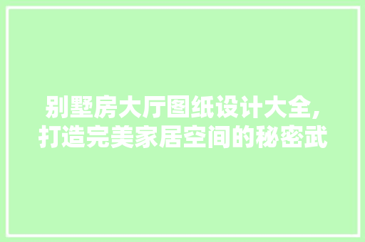 别墅房大厅图纸设计大全,打造完美家居空间的秘密武器