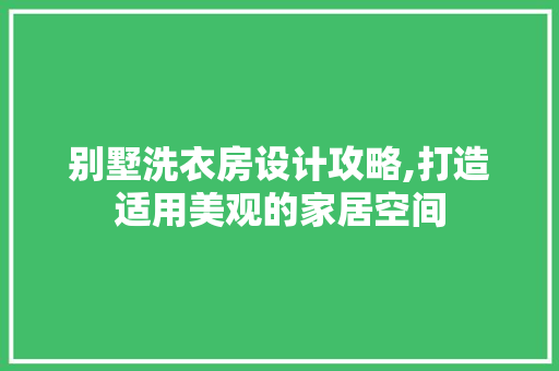 别墅洗衣房设计攻略,打造适用美观的家居空间