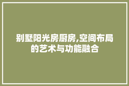 别墅阳光房厨房,空间布局的艺术与功能融合