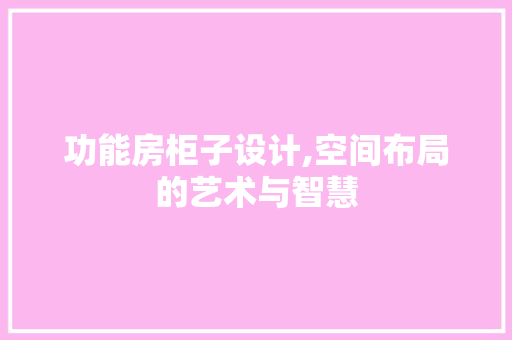 功能房柜子设计,空间布局的艺术与智慧