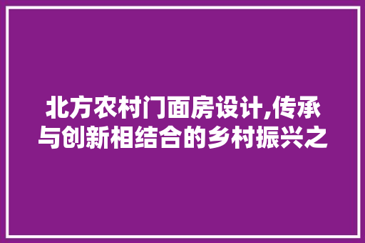 北方农村门面房设计,传承与创新相结合的乡村振兴之路