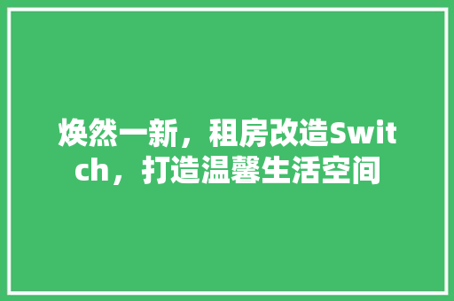 焕然一新，租房改造Switch，打造温馨生活空间