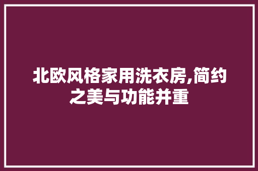 北欧风格家用洗衣房,简约之美与功能并重