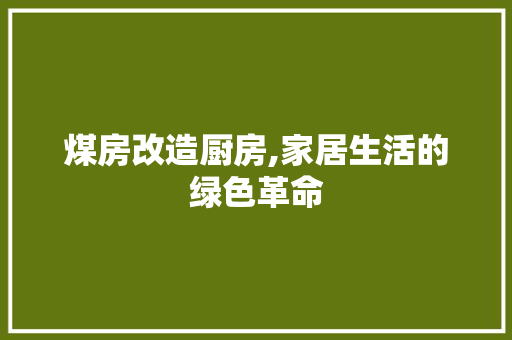煤房改造厨房,家居生活的绿色革命