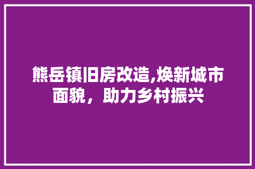熊岳镇旧房改造,焕新城市面貌，助力乡村振兴