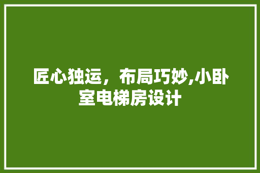 匠心独运，布局巧妙,小卧室电梯房设计