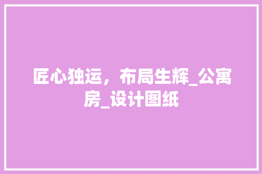 匠心独运，布局生辉_公寓房_设计图纸