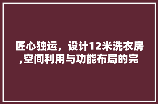 匠心独运，设计12米洗衣房,空间利用与功能布局的完美融合