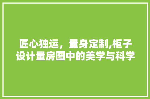 匠心独运，量身定制,柜子设计量房图中的美学与科学