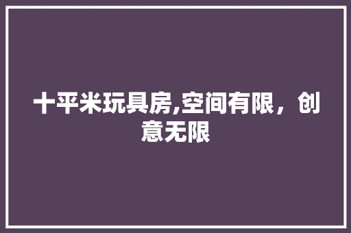 十平米玩具房,空间有限，创意无限