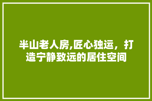 半山老人房,匠心独运，打造宁静致远的居住空间