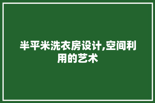 半平米洗衣房设计,空间利用的艺术