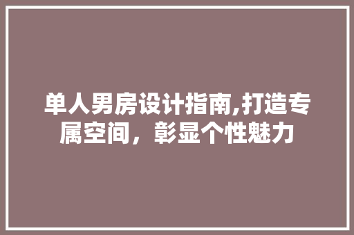 单人男房设计指南,打造专属空间，彰显个性魅力
