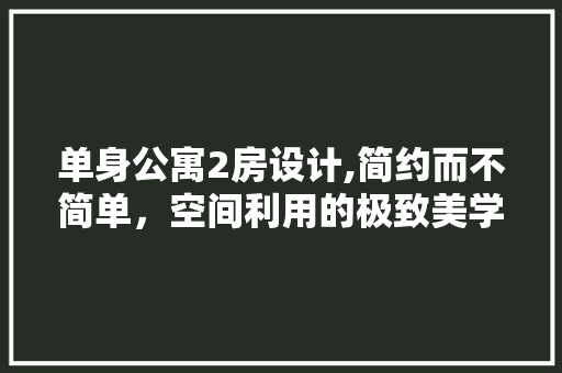 单身公寓2房设计,简约而不简单，空间利用的极致美学