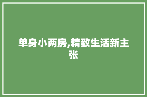 单身小两房,精致生活新主张