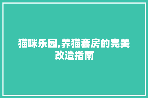 猫咪乐园,养猫套房的完美改造指南