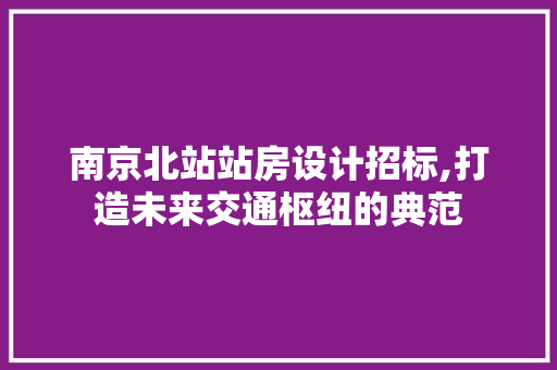 南京北站站房设计招标,打造未来交通枢纽的典范