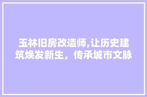 玉林旧房改造师,让历史建筑焕发新生，传承城市文脉