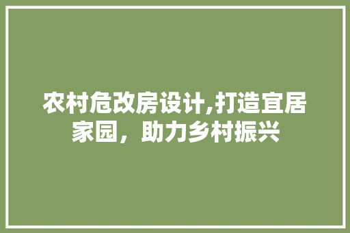 农村危改房设计,打造宜居家园，助力乡村振兴