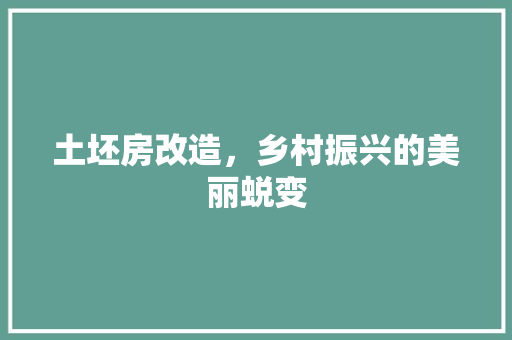 土坯房改造，乡村振兴的美丽蜕变