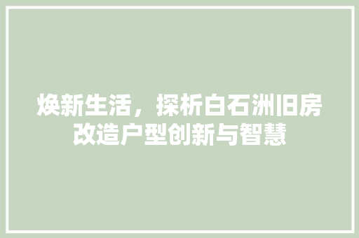 焕新生活，探析白石洲旧房改造户型创新与智慧