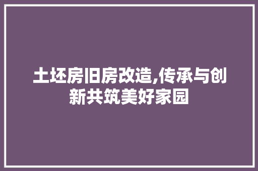 土坯房旧房改造,传承与创新共筑美好家园