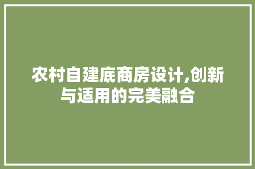 农村自建底商房设计,创新与适用的完美融合