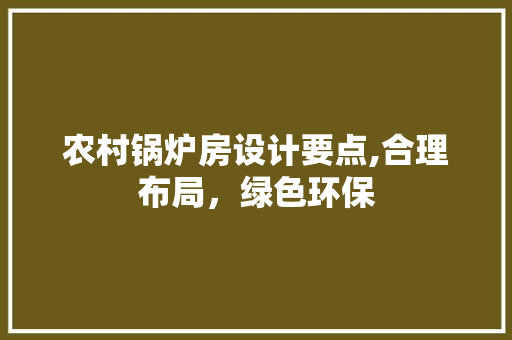 农村锅炉房设计要点,合理布局，绿色环保